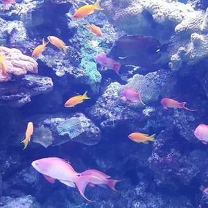 Meet your Posher, Byung